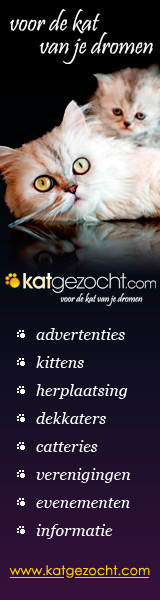 katgezocht.com